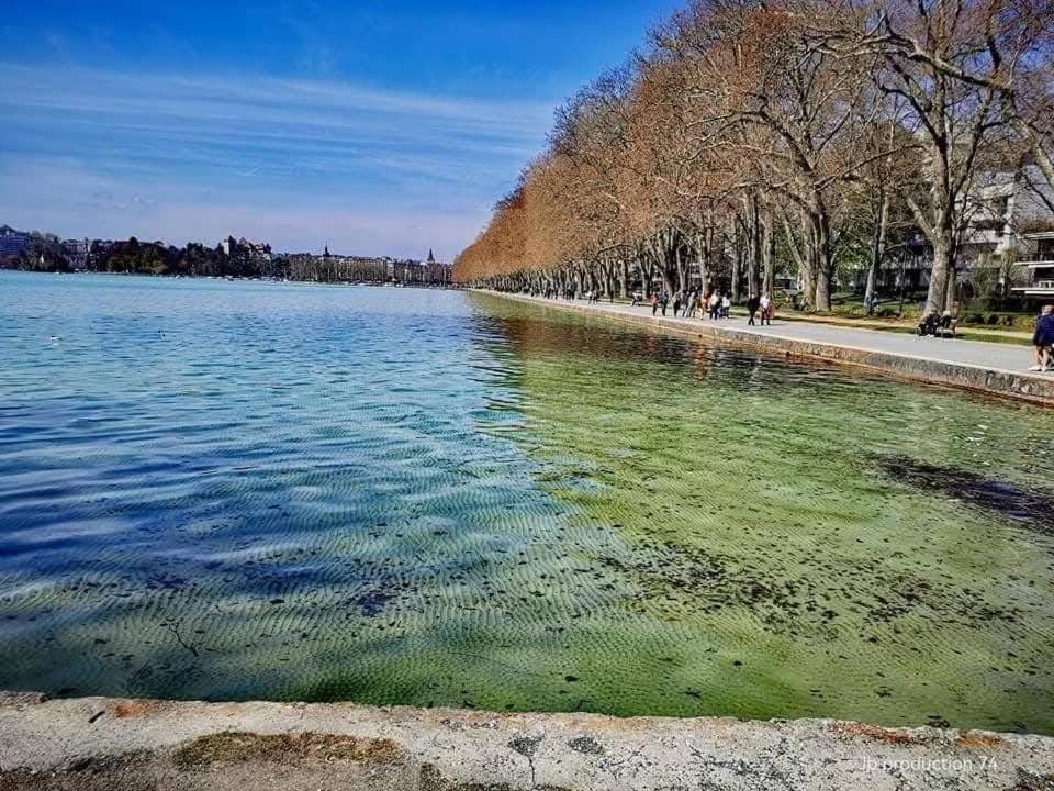 Апартаменты La Petite Venise Des Alpes, Ultra Centre 1 A 5 Pers Анси Экстерьер фото